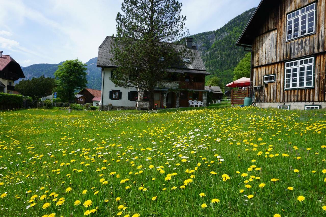 Apartment Haider 1 Obertraun Bagian luar foto